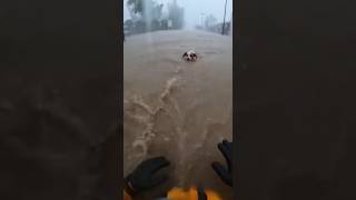 Officer Rescues Dog In Flood