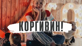 видео: Вечеринка для собак! Мы с Бентли идем на Коргивин в Санкт-Петербурге! Halloween вечеринка для корги. картинка: Вечеринка для собак! Мы с Бентли идем на Коргивин в Санкт-Петербурге! Halloween вечеринка для корги.
