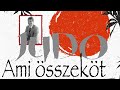 Ami sszekt  judomodell az zleti letben  judoinfo podcast 11  nagy ern