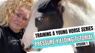 Training a Young Horse 3 Minute Pressure Yielding Tutorial