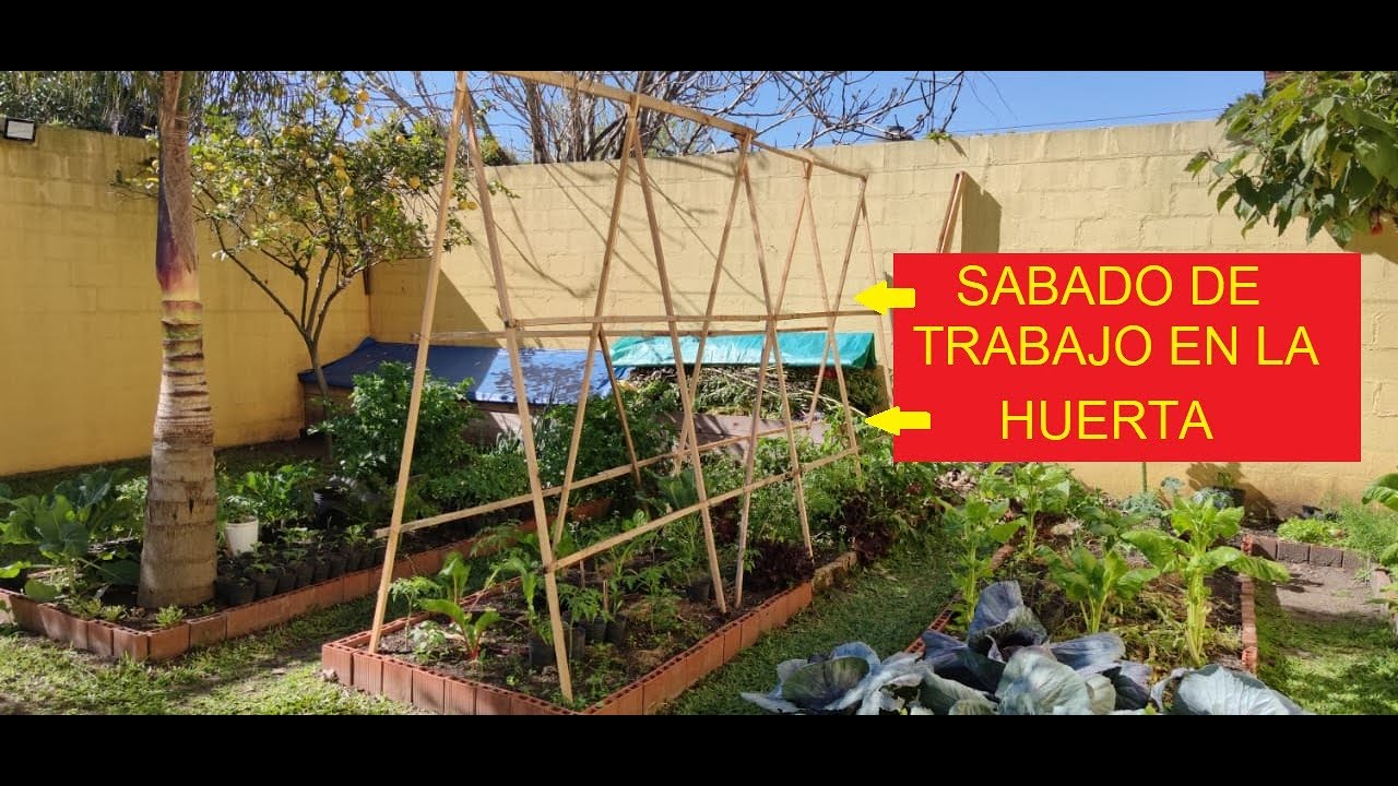 COMO ARMAR TUTORES PARA TOMATES