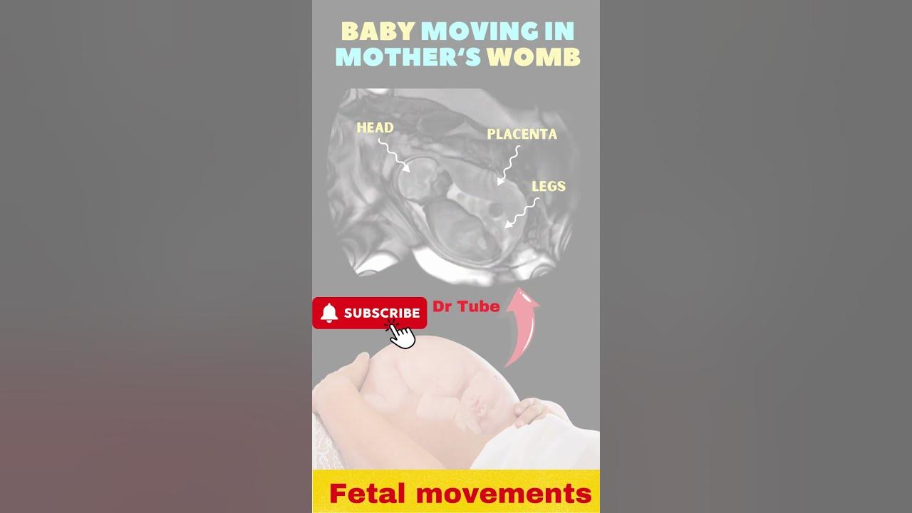Baby moving in mother's womb Baby movement in pregnancy Fetal movements pregnancy 