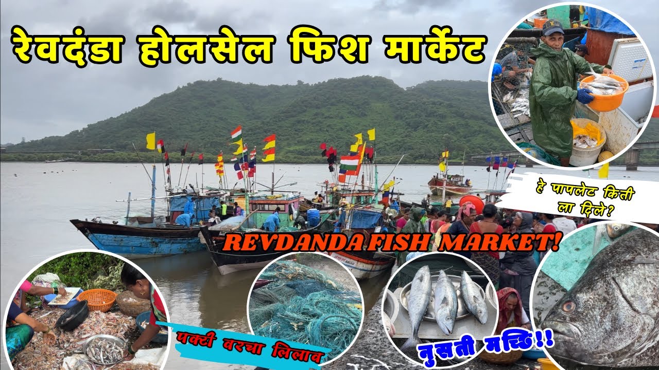 रेवदंडा होलसेल फिश मार्केट | REVDANDA FISH MARKET | पक्टी वरचा लिलाव !