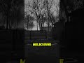 A pilot radioed Melbourne in 1978. He said something was hovering above him. Then the signal died.