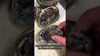 How to handle abalone