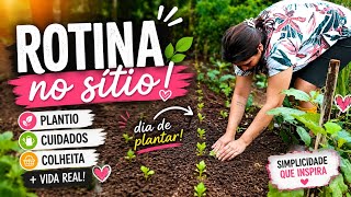 🌿 Plantando na Horta, Fazendo Pão Caseiro e Cuidando do Lar 🍞🥰A rotina que amo