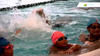 Promocional Codesa 2016