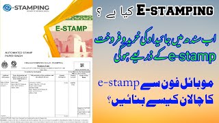 HOW TO GENERATE ONLINE E-STAMP IN MOBILE | HOW TO APPLY FOR e-STAMPING IN SINDH PAKISTAN| screenshot 4