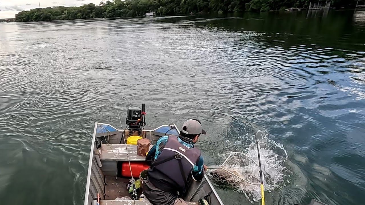 Inacreditável não vai caber no Passagua é extremamente gigante Rio grande Ouroeste 