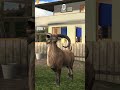 kami dari 27 bulan mei #memes #cover  #gaming World#27mei#goatsimulator