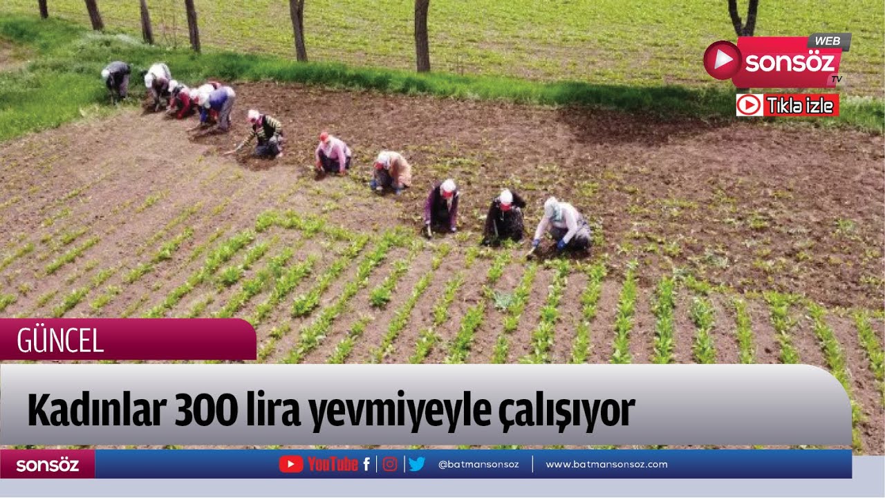 Kadınlar 300 lira yevmiyeyle &ccedil;alışıyor