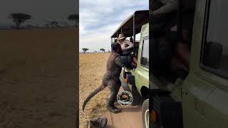 Hit That Subscribe On