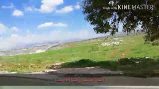 - محمد سلمان ناصر عباسي- mahe rowshan القمر المنير -