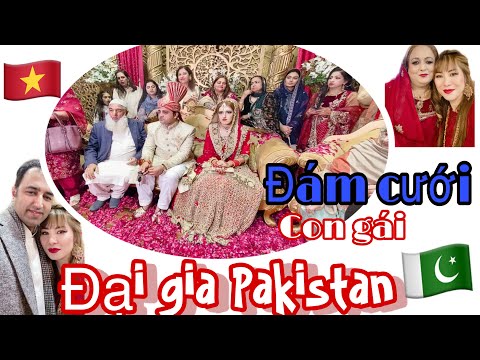 Video #106☘Cận cảnh Đám cưới khủng con gái Tài Phiệt... - youtube