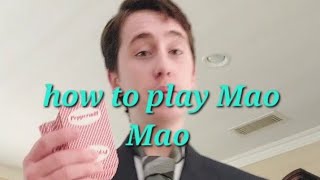 how to play Mao Mao screenshot 4