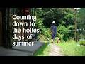 Counting down to the hottest days of summer in the Japanese countryside