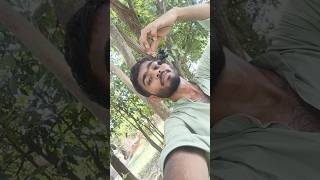 video banana hamara kam hai #trendingvideo #blog #viralblog #trendingvideo #viralreels #trending