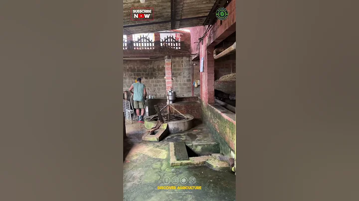 Dairy Farm Biogas Plant System