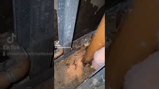 🤔 how to find a pinhole leak in a copper pipe. complete video guide 😲