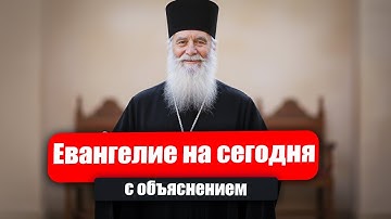 Ты не обязан заслужить любовь Бога. Ты уже в ней живёшь | Евангелие с объяснением