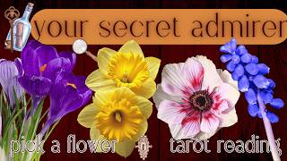 Who Has A Secret Crush On You? Their Next Move? What's Next?🌹| Pick A Card Tarot Reading For Love