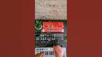 Behringer CAT + TD3 SB + Arturia Keystep + Xenyx 1204 USB