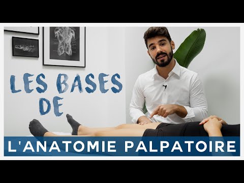 Vidéo: Qu'est-ce que la méthode palpatoire ?