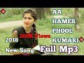 Aa hamer phool kumari full mp3 song 2018 | nagpuri song | maxx wine Mp3