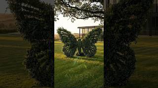 Nobody Expected This in the Backyard… 🦋 #topiary #shorts