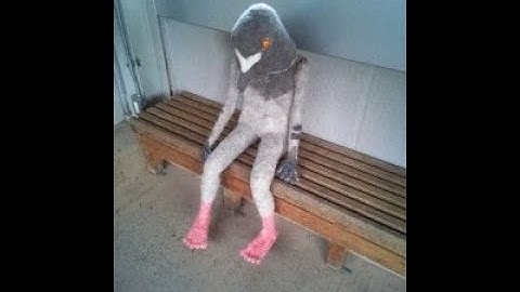 Cursed Images with Minecraft Cave Noises Part 2