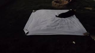 2024 Solar Eclipse Wavy Lines Experiment - Shadow bands