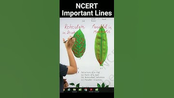 Reticulate & parallel venation | Revision Biology | NCERT important lines for NEET | #neet #biology