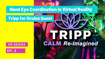 Hand-Eye Coordination VR for Brain Injury Rehabilitation | Success Rehabilitation | Virtual Reality