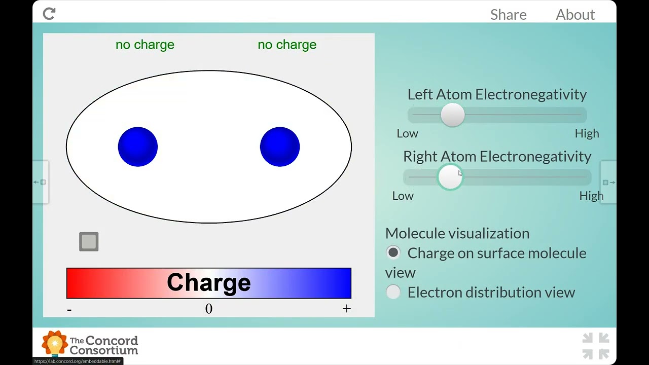 Penny Lab Practice CER