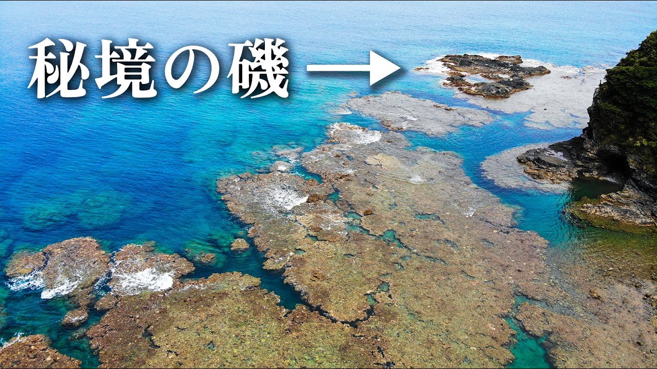 山をかき分けた先にある秘境の磯。釣れたまさかの大物を捌いて食べる。
