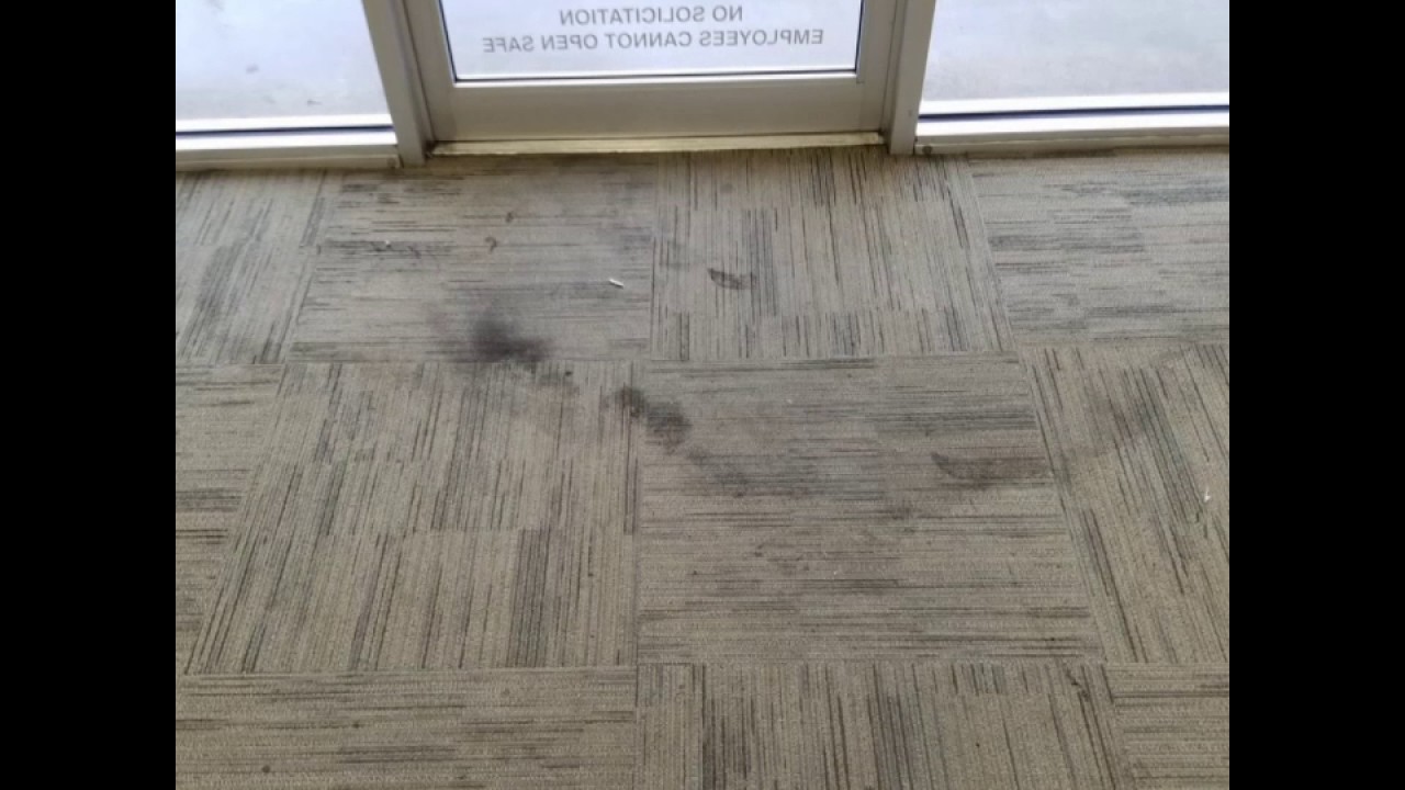 Oops Steam Cleaning Commercial Carpet You Oops Steam Cleaning Commercial Carpet