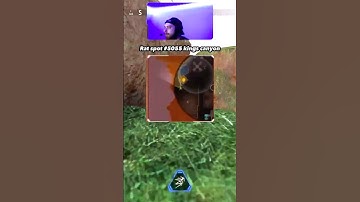 Crazy rat spot on Kings Canyon #5055