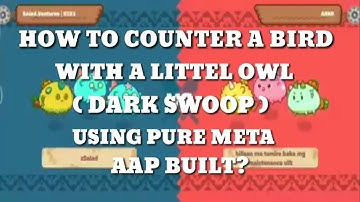 How to counter a Bird with a Little Owl( Dark Swoop) Using Pure meta AAP built