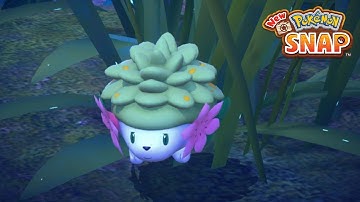 How to Complete Myth of the Nature Park in New Pokemon Snap