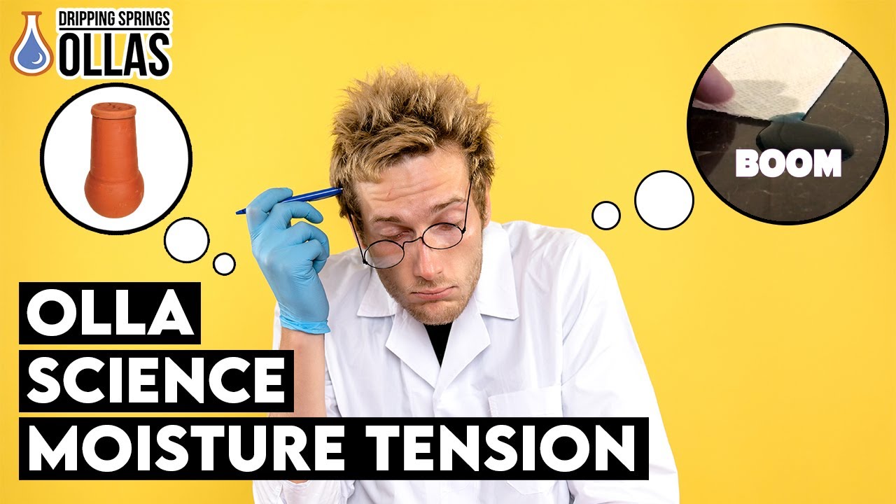 The Science of Dripping Springs Ollas - Soil Moisture Tension