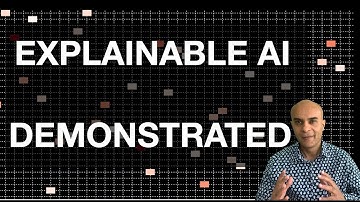 Explainable AI - Demonstrated