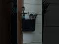 💥அட டிப்ஸ் சூப்பர்#tips#reuseidea#diy#kitchenorganizer#kitchenhack#organizer#shorts#shortfeed#trend