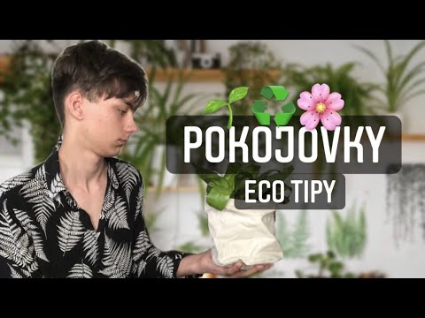 Video: Jak Instalovat Světlo Na Pokojové Rostliny