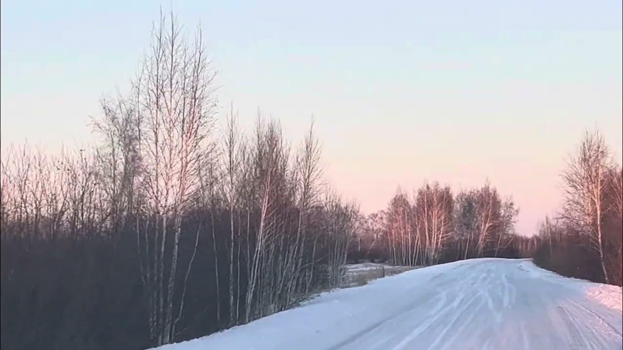 Нашествие косуль в Курганской области. Косули в Курганской области миграция. Нашествие косуль Омск. Миграция косулььв Мамонтовском районе 23 год. Нашествие косуль