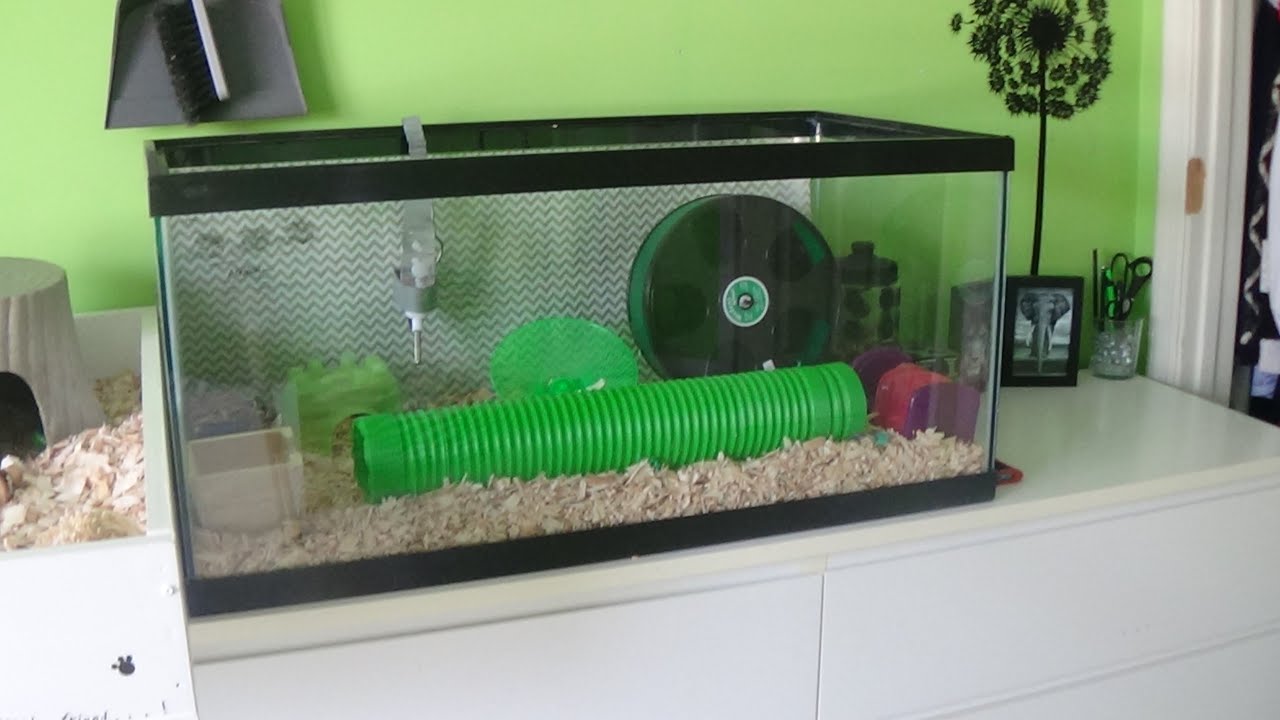 guinea pig aquarium cage