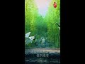 生命的意义(一)