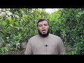 من سورة آل عمران ف ك ی ف إ ذ ا ج م ع ن ـ ه م ل ی و م ل ا ر ی ب ف یه يوسف معاطى 