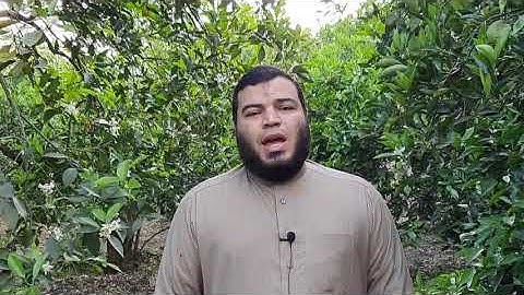 من سورة آل عمران (فَكَیۡفَ إِذَا جَمَعۡنَـٰهُمۡ لِیَوۡمࣲ لَّا رَیۡبَ فِیهِ ) يوسف معاطى