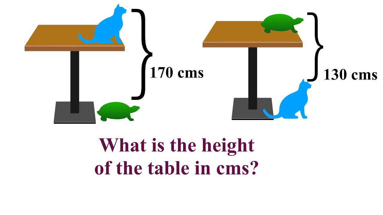 Find The Height Of Table With Cat And Tortoise ?