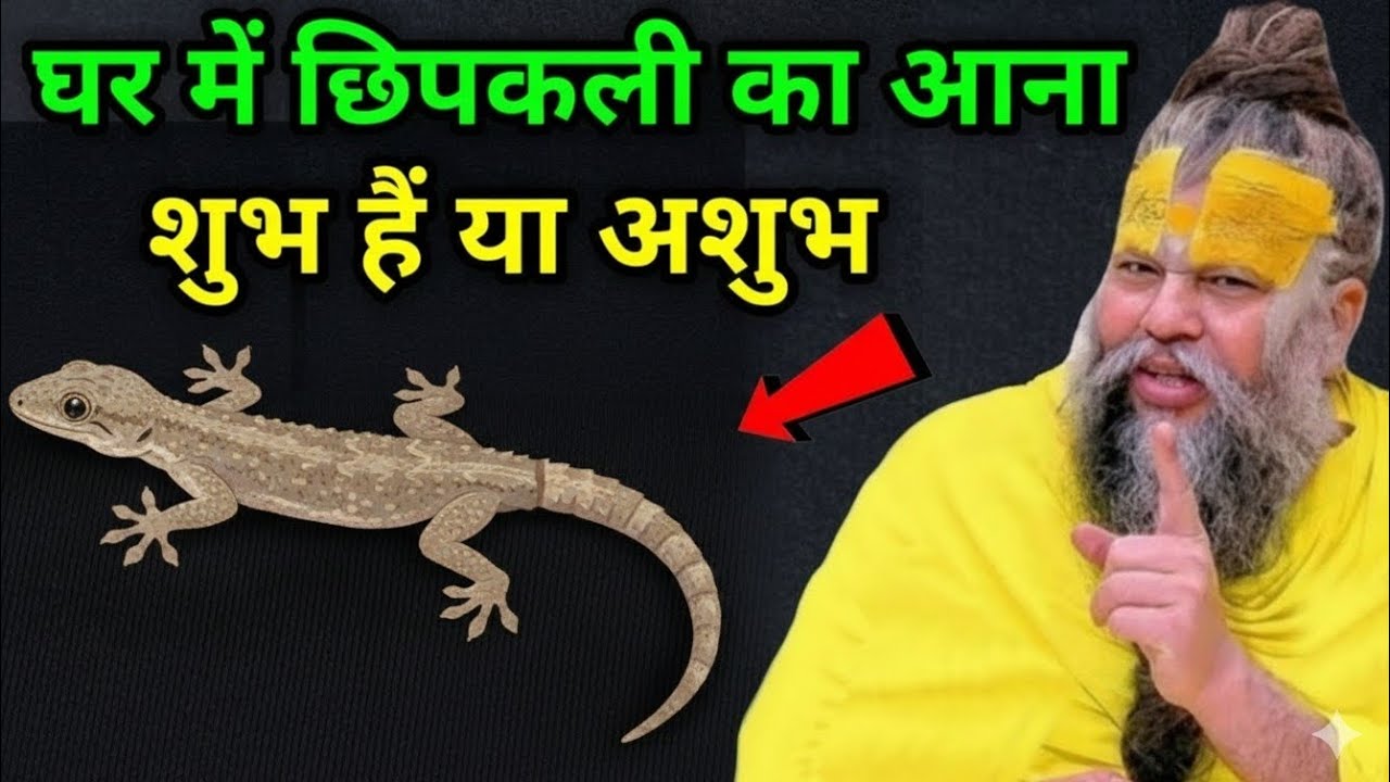 घर में छिपकली का आना क्या संकेत देता है ? अगर यह आपके ऊपर गिर जाये तो क्या करना चाहिए ?#premanandji​